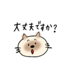 JWシャム猫ちゃん（個別スタンプ：25）