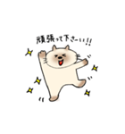 JWシャム猫ちゃん（個別スタンプ：31）