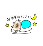 JWシャム猫ちゃん（個別スタンプ：39）