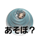 フェレット（イタチ）のん太とひゃっ吉2（個別スタンプ：9）