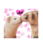 フェレット（イタチ）のん太とひゃっ吉2（個別スタンプ：24）