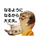 フェレット（イタチ）のん太とひゃっ吉2（個別スタンプ：32）