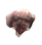 コムコムstyle（個別スタンプ：1）