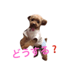 コムコムstyle（個別スタンプ：5）