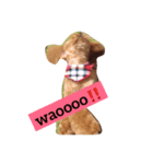 コムコムstyle（個別スタンプ：6）