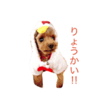 コムコムstyle（個別スタンプ：7）