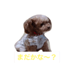コムコムstyle（個別スタンプ：8）