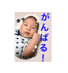 ようたろースタンプ（個別スタンプ：14）