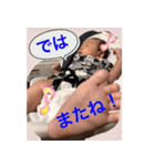 ようたろースタンプ（個別スタンプ：24）