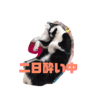 ともか専用（個別スタンプ：1）