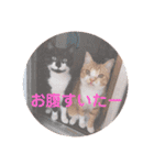 ともか専用（個別スタンプ：2）