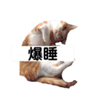 ともか専用（個別スタンプ：5）