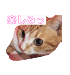 ともか専用（個別スタンプ：13）
