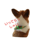コーギー☆シューLIFE（個別スタンプ：21）