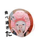 ちびBosS♡♡（個別スタンプ：17）