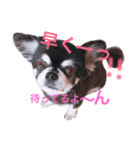 あきの家族（個別スタンプ：2）