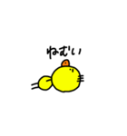 ピヨコオブザピヨコ2（個別スタンプ：5）