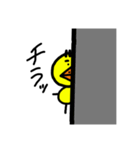 ピヨコオブザピヨコ2（個別スタンプ：7）