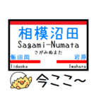 伊豆箱根(大雄山,駿豆,十国)気軽に今この駅（個別スタンプ：7）