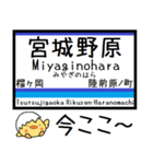 宮城 仙石線 気軽に今この駅だよ！（個別スタンプ：4）