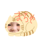 正憲（個別スタンプ：6）
