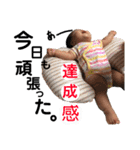 日常会話！ゆらスタンプ（個別スタンプ：28）