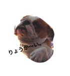 ブサ可愛のブルの日常。（個別スタンプ：4）