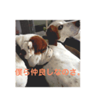 ブサ可愛のブルの日常。（個別スタンプ：7）