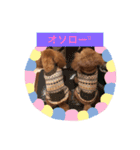 トイプードルhana＆kuro2（個別スタンプ：9）
