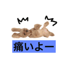 トイプードルhana＆kuro2（個別スタンプ：10）