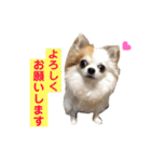 りんぴち2（個別スタンプ：8）