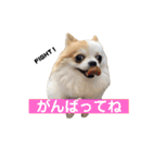 りんぴち2（個別スタンプ：9）