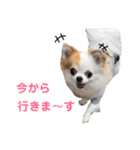 りんぴち2（個別スタンプ：12）