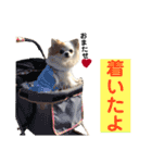 りんぴち2（個別スタンプ：14）