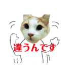 む体とイカちゃん（個別スタンプ：22）