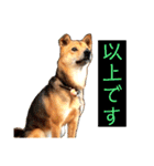 はげます動物（カワイイ編）（個別スタンプ：7）
