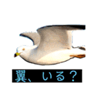 はげます動物（カワイイ編）（個別スタンプ：23）