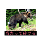 はげます動物（カワイイ編）（個別スタンプ：26）