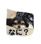 ここなっつのきもち2（個別スタンプ：4）