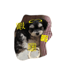 ここなっつのきもち2（個別スタンプ：8）