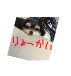 ここなっつのきもち2（個別スタンプ：9）