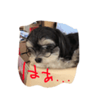 ここなっつのきもち2（個別スタンプ：10）