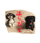 ここなっつのきもち2（個別スタンプ：12）