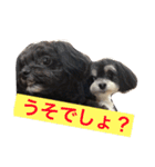ここなっつのきもち2（個別スタンプ：14）