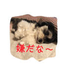 ここなっつのきもち2（個別スタンプ：15）