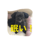 ここなっつのきもち2（個別スタンプ：16）