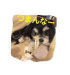 ここなっつのきもち2（個別スタンプ：17）