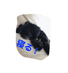 ここなっつのきもち2（個別スタンプ：19）