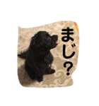 ここなっつのきもち2（個別スタンプ：23）