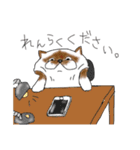 ねこ(日常)（個別スタンプ：12）